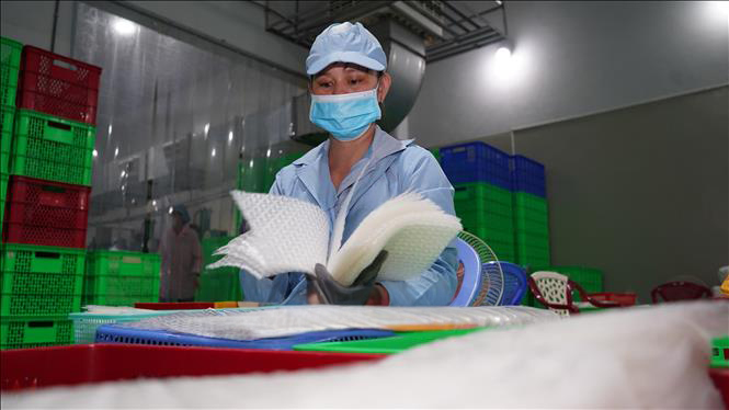 factory_ricepaper (10)