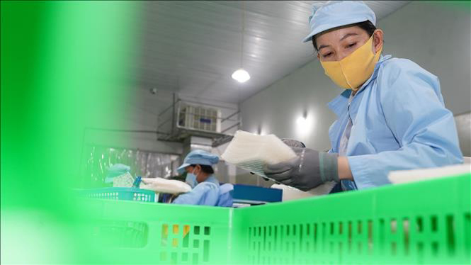 factory_ricepaper (11)