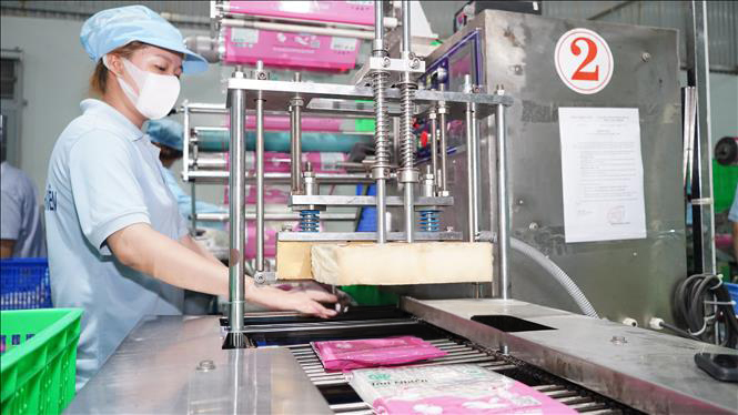 factory_ricepaper (12)