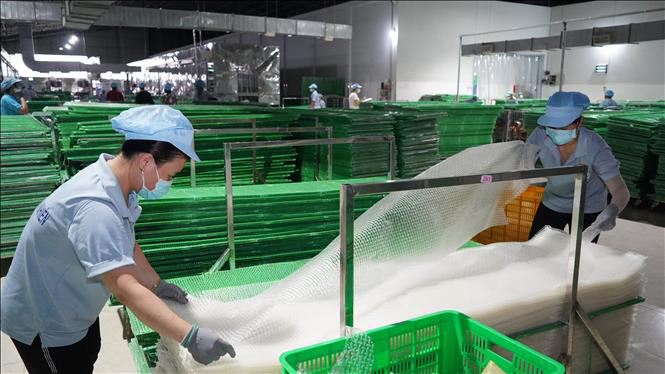 factory_ricepaper (16)