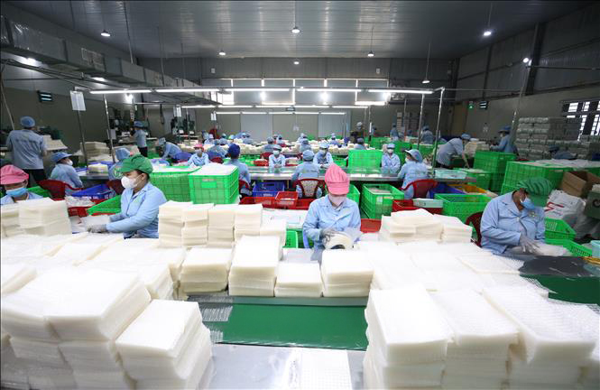 factory_ricepaper (18)