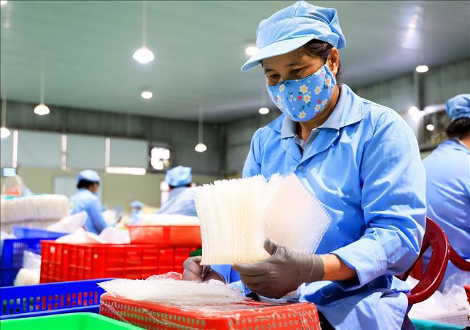 factory_ricepaper (5)