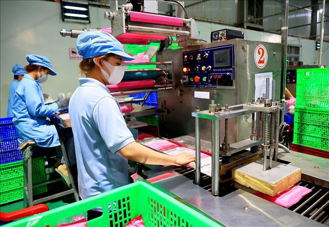 factory_ricepaper (6)