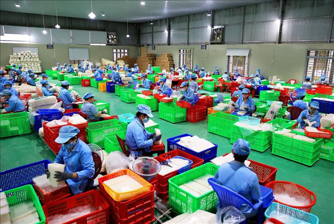 factory_ricepaper (8)