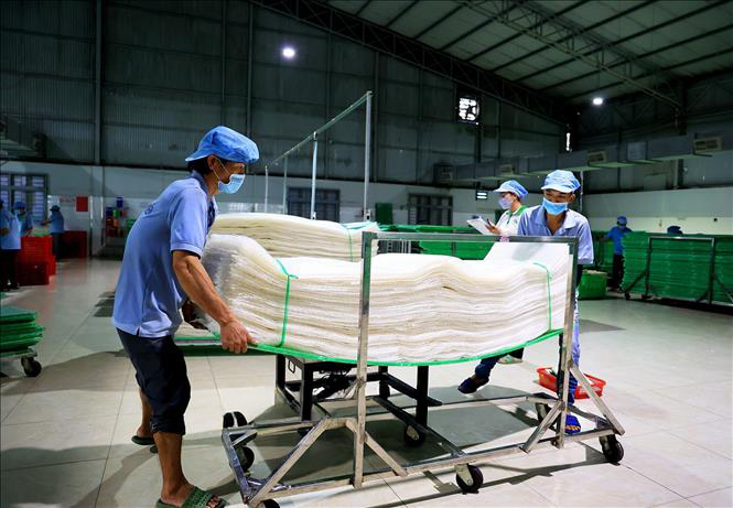 factory_ricepaper (9)