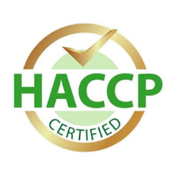 logo_05